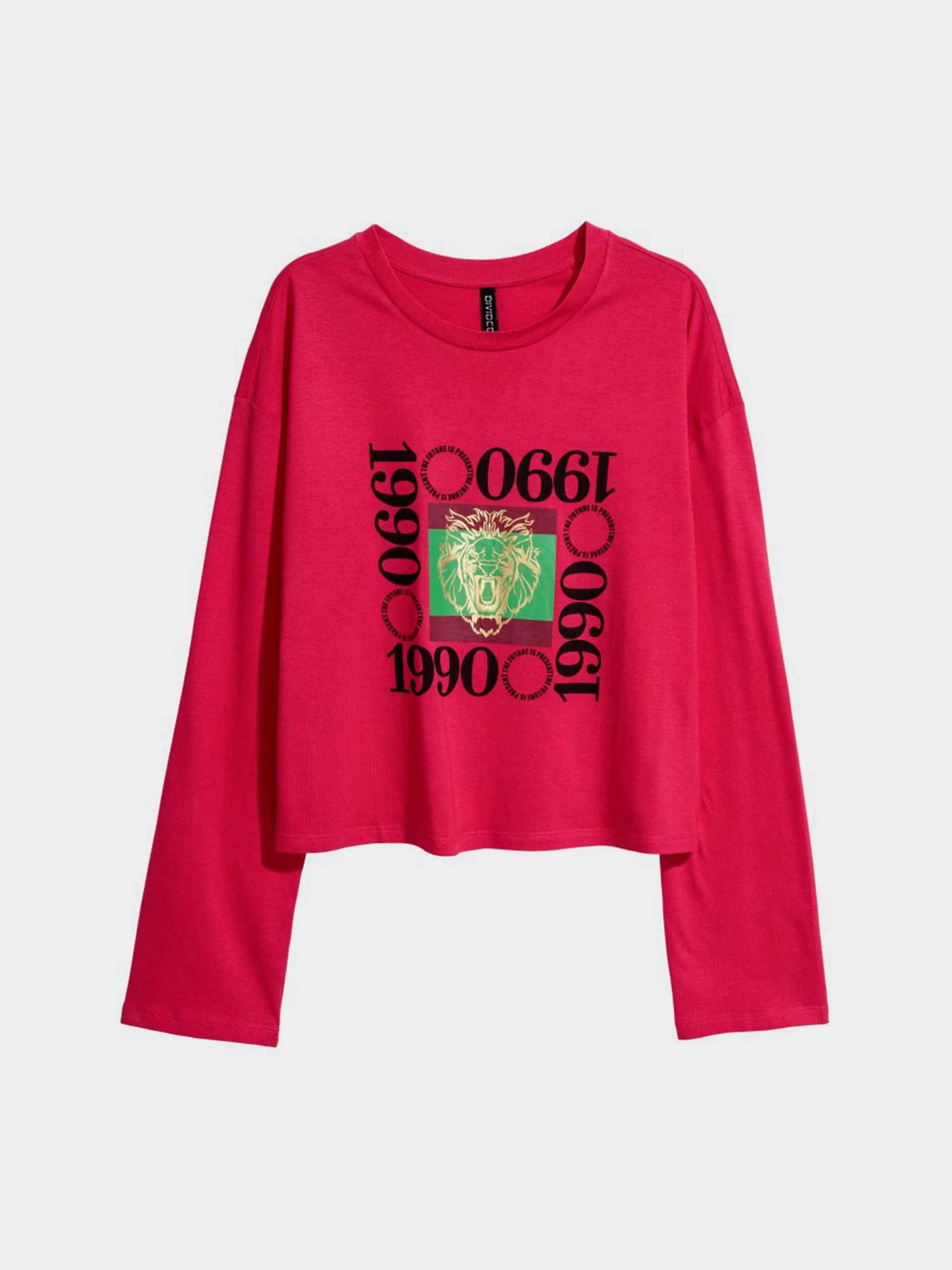 Худі та світшоти H&M модель 5585247dlog_Красный Фото