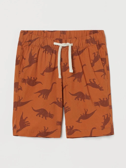 Шорты H&M модель 9344823arl_Коричневый Фото