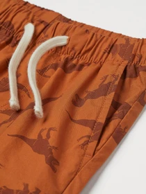 Шорты H&M модель 9344823arl_Коричневый Фото