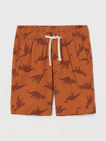 Шорты H&M модель 9344823arl_Коричневый Фото