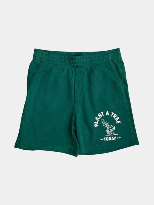 Шорты H&M модель 1157533wer_Изумрудный Фото