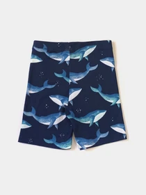 Шорти H&M модель 9199315kwer_Темно-синий Фото