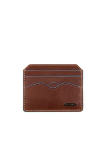 Кошельки Visconti модель ALP83 IT BRN Фото