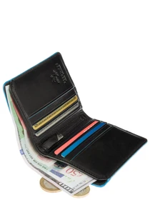 Кошельки Visconti Tignes модель ALP92 BLK Фото