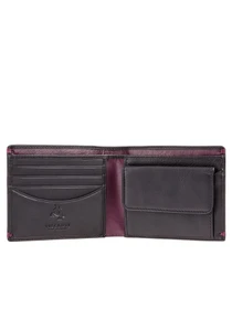 Кошельки Visconti Montreux модель AP62 BLK/BG Фото