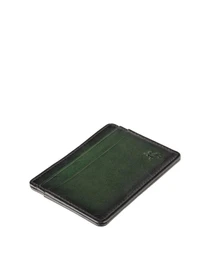 Кошельки Visconti модель AT54 GREEN Фото