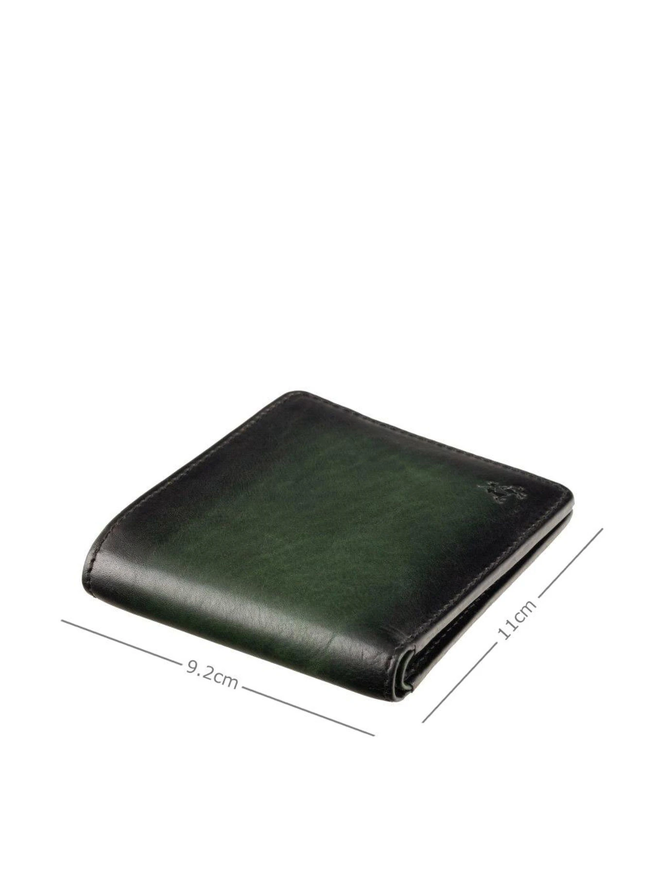 Кошельки Visconti Milo модель AT58 GREEN Фото