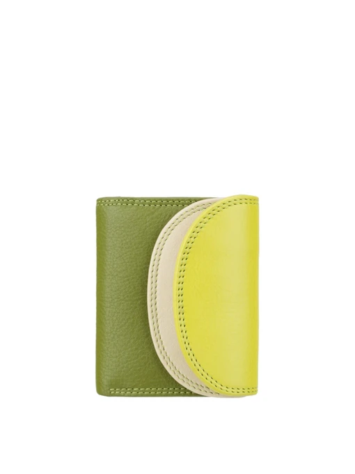 Гаманці Visconti модель RB126 LIME M Фото