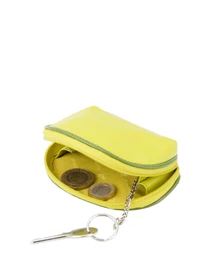 Кошельки Visconti модель RB63 LIME M Фото