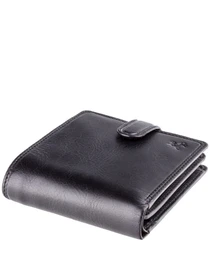Кошельки Visconti модель TSC42 BLK Фото