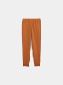 Брюки PUMA Ess Logo Sweatpants Fl Cl модель 688333 Фото