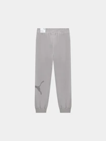 Брюки PUMA Ess Big Cat Logo Sweatpants модель 692711 Фото