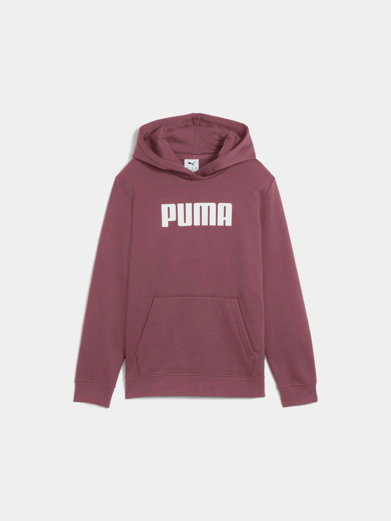 Худи и свитшоты PUMA Ess Logo Hoodie Fl G модель 688353 Фото