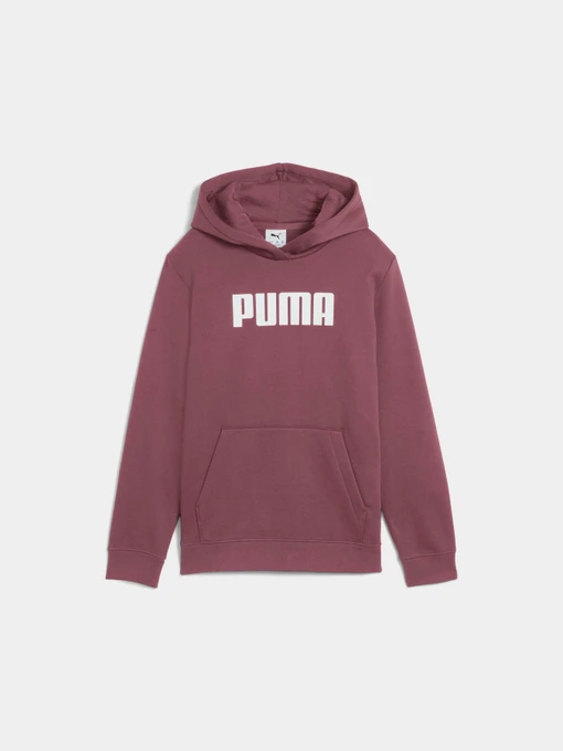 Худи и свитшоты PUMA Ess Logo Hoodie Fl G модель 688353 Фото