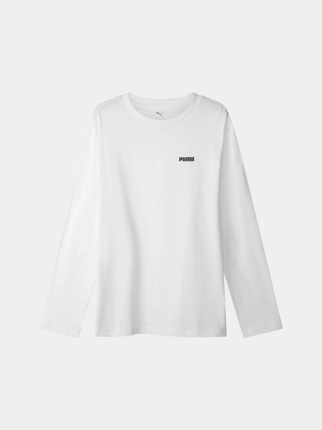 Худи и свитшоты PUMA Ess Small Logo Relaxed Ls модель 686758 Худи и свитшоты PUMA Ess Small Logo Relaxed Ls модель 686758 Фото