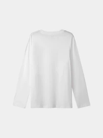 Худи и свитшоты PUMA Ess Small Logo Relaxed Ls модель 686758 Фото