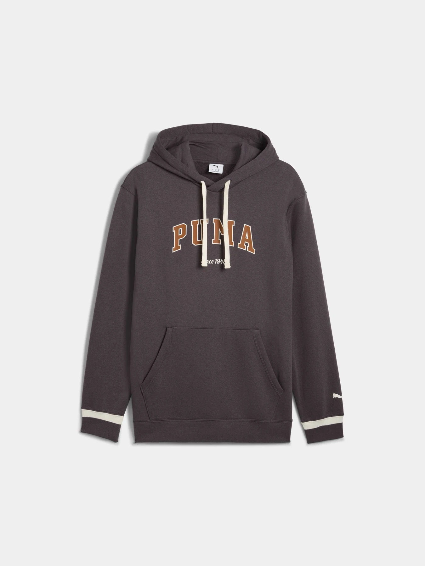 Худі та світшоти PUMA Varsity Hoodie M модель 692656 Фото