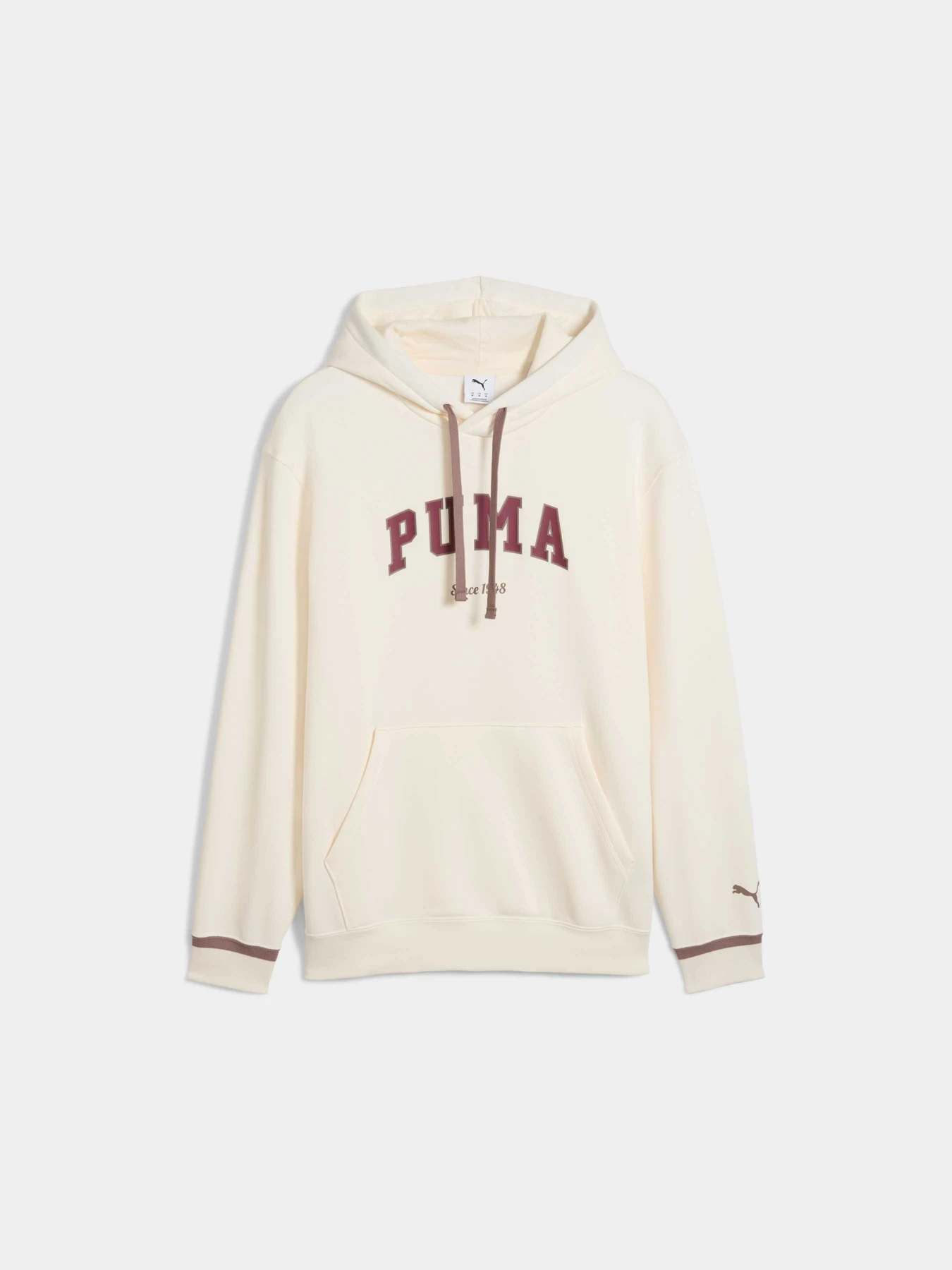 Худі та світшоти PUMA Varsity Hoodie M модель 692656 Фото