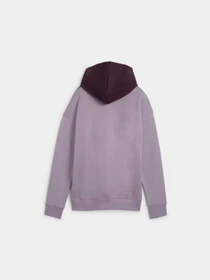 Худі та світшоти PUMA Power Hoodie Fl модель 681647 Фото
