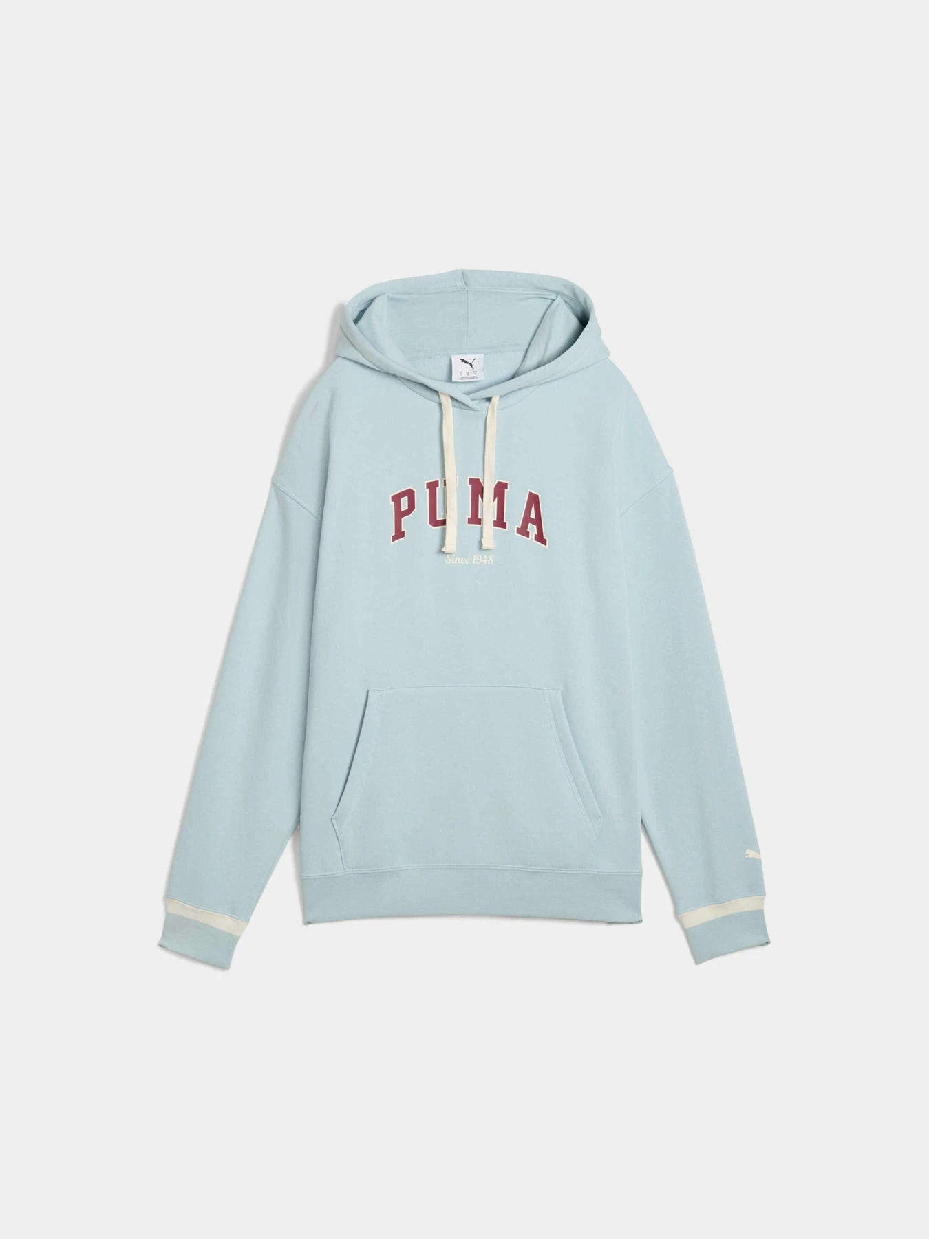 Худі та світшоти PUMA Varsity Hoodie Fl W модель 692674 Фото