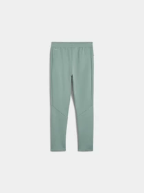 Брюки PUMA Evostripe Pants модель 684614 Фото