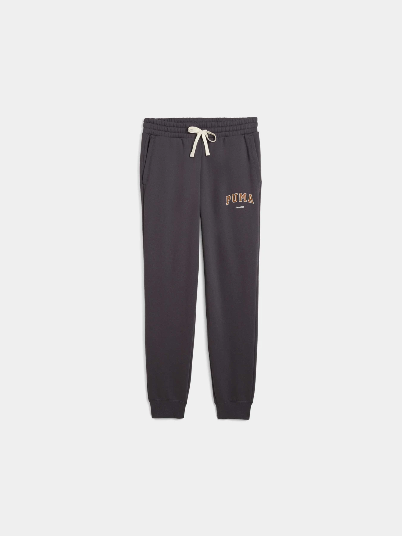 Брюки PUMA Varsity Sweatpants Fl M модель 692653 Фото