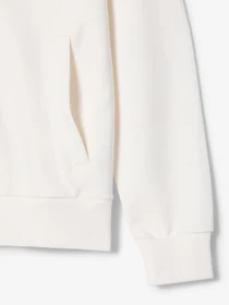 Худи и свитшоты Lacoste модель SF525670V Фото