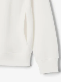Худи и свитшоты Lacoste модель SH192770V Фото