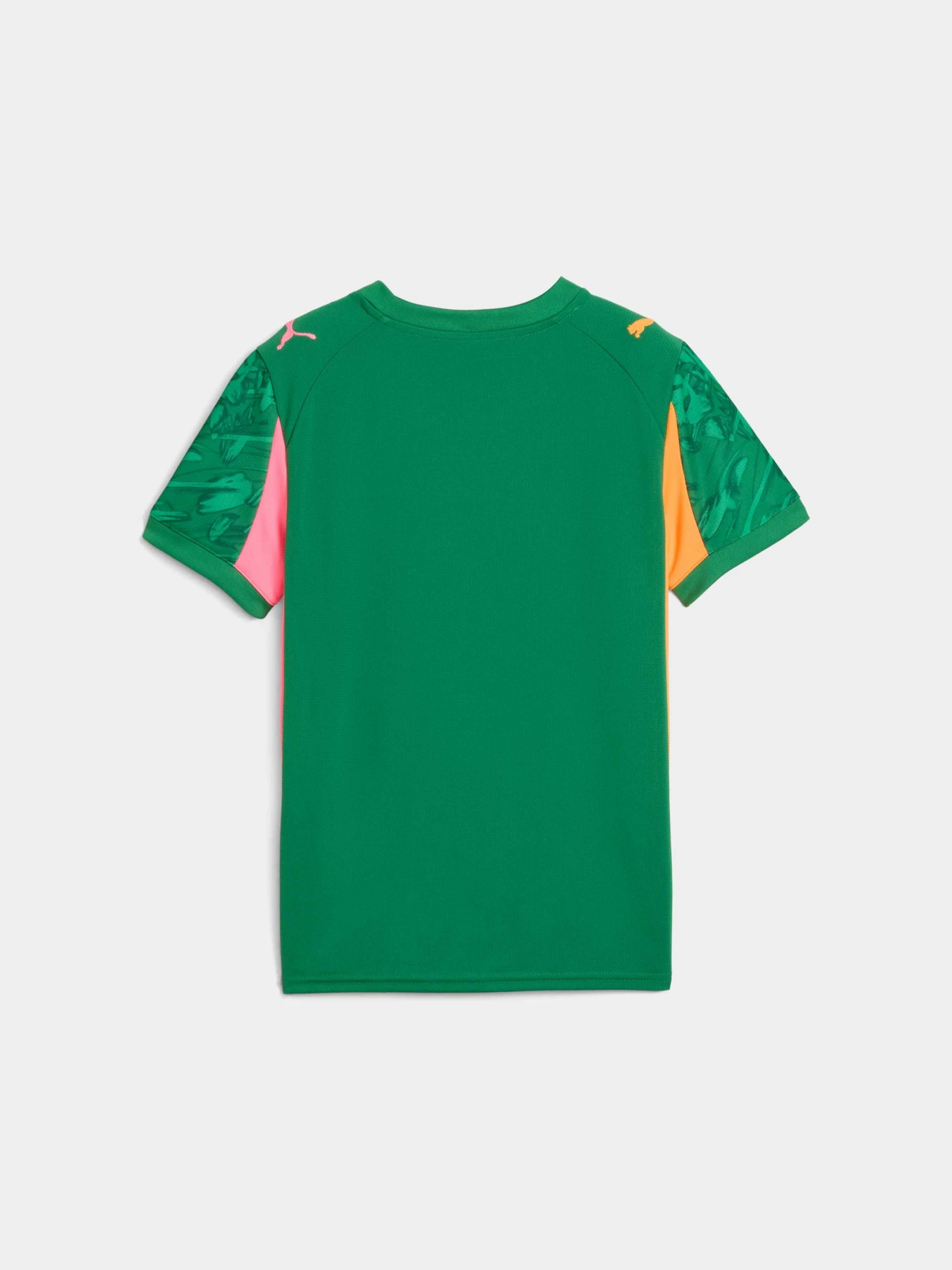 Футболки и поло PUMA Gk Concept Jersey Repl Ss Jr модель 780271 Фото