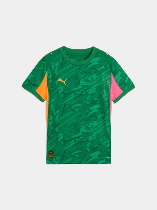 Футболки і поло PUMA Gk Concept Jersey Repl Ss Jr модель 780271 Фото