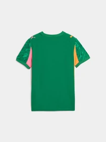 Футболки и поло PUMA Gk Concept Jersey Repl Ss Jr модель 780271 Фото
