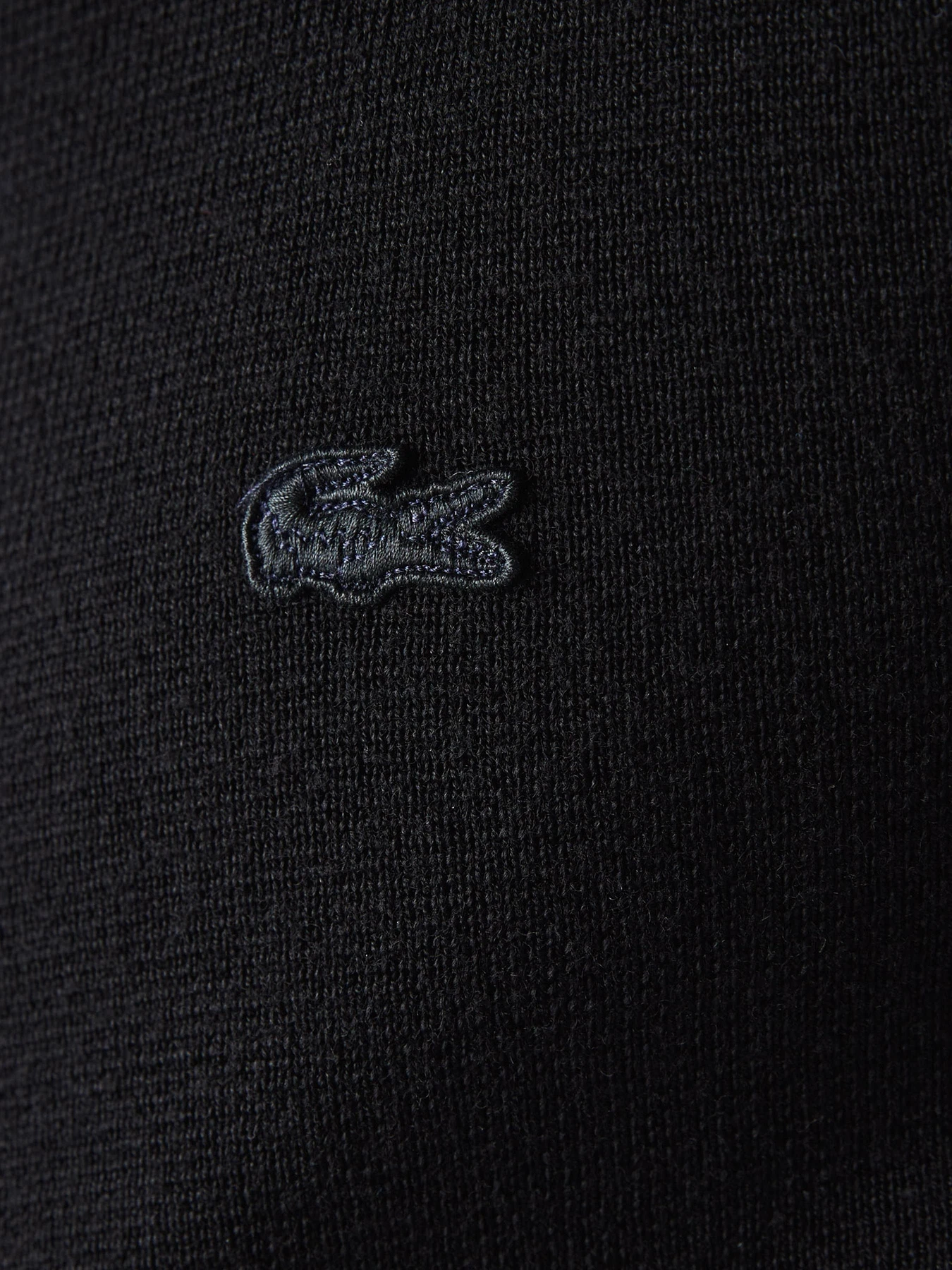 Худи и свитшоты Lacoste модель AH1955031 Худи и свитшоты Lacoste модель AH1955031 Фото