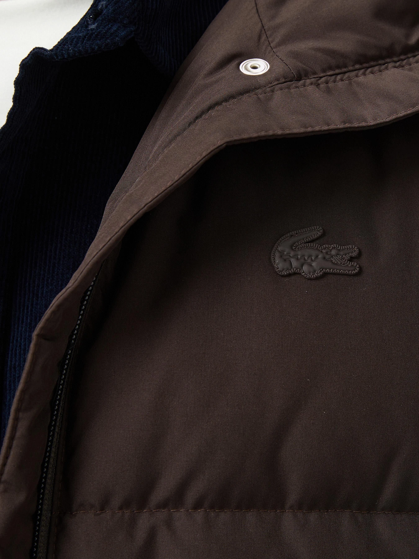 Куртки и дубленки Lacoste модель BF2608SKB Фото