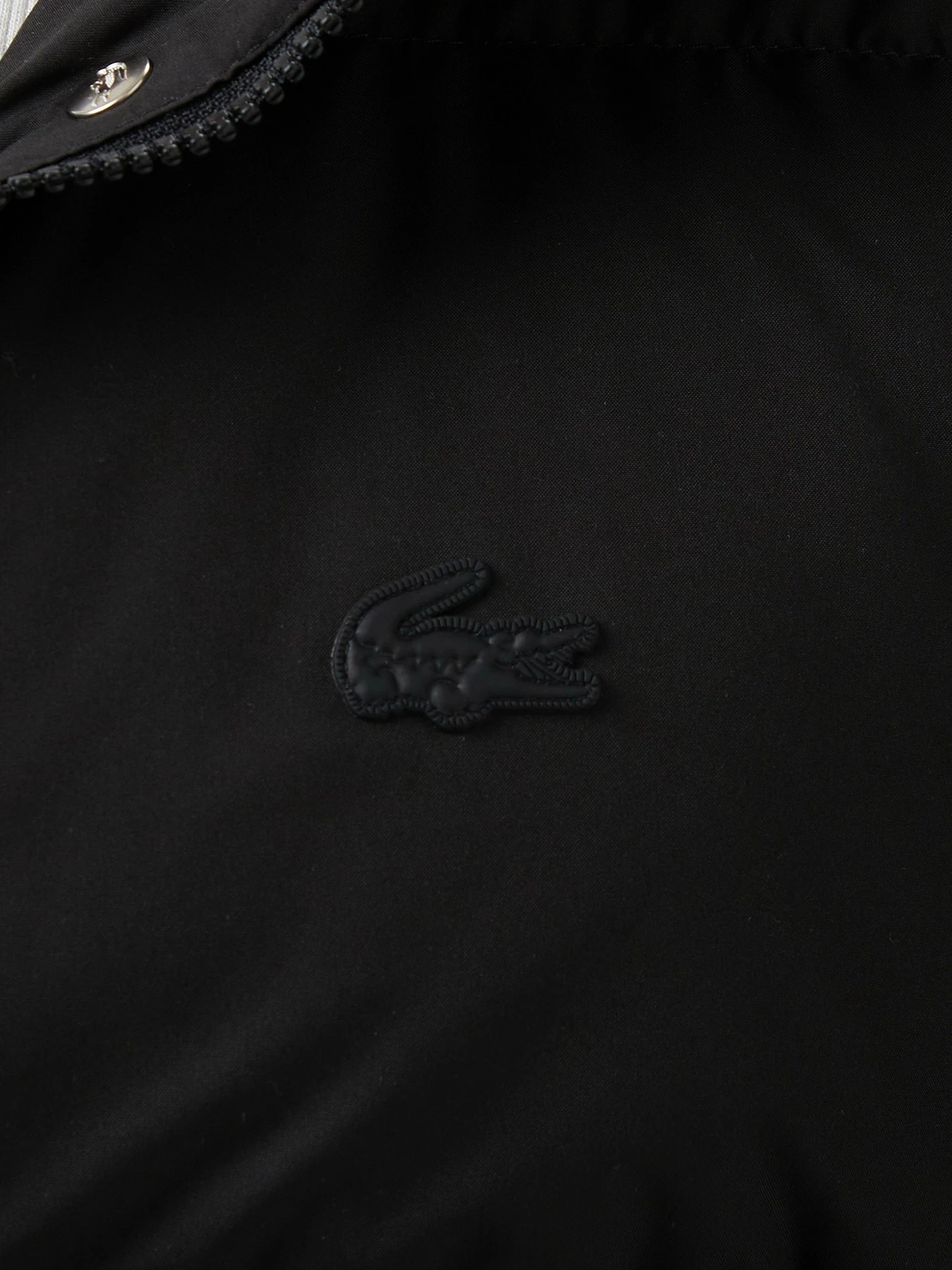 Куртки и дубленки Lacoste модель BF2614031 Фото
