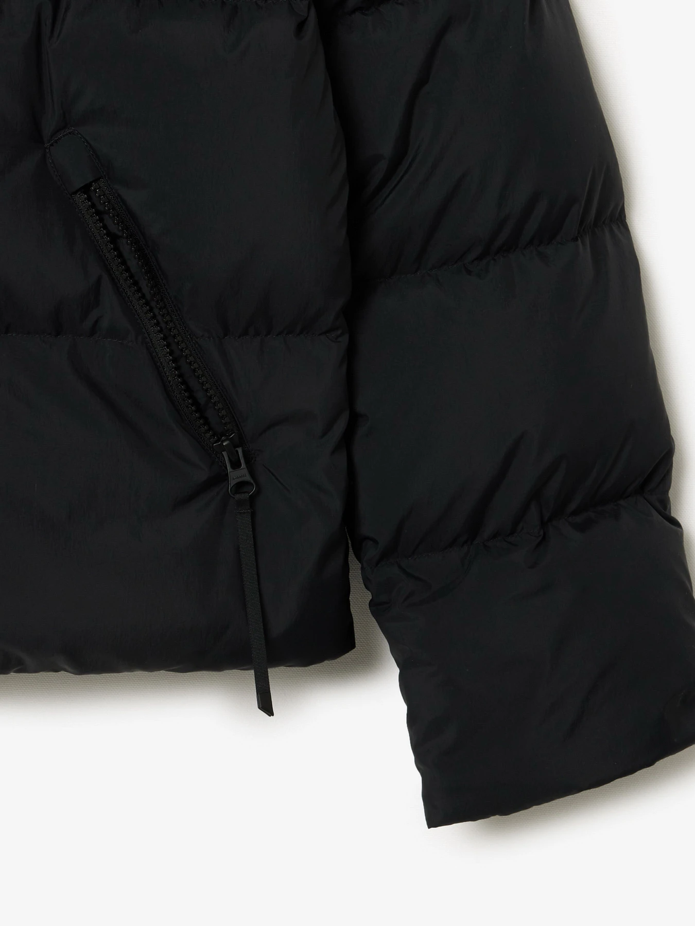 Куртки и дубленки Lacoste модель BF3262031 Куртки и дубленки Lacoste модель BF3262031 Фото