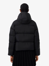 Куртки и дубленки Lacoste модель BF3262031 Фото