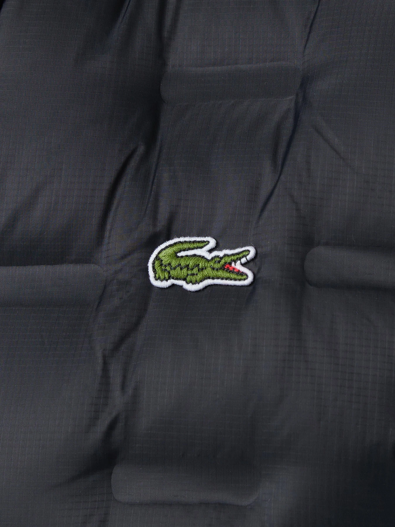 Куртки та дублянки Lacoste модель BH2502T031 Фото