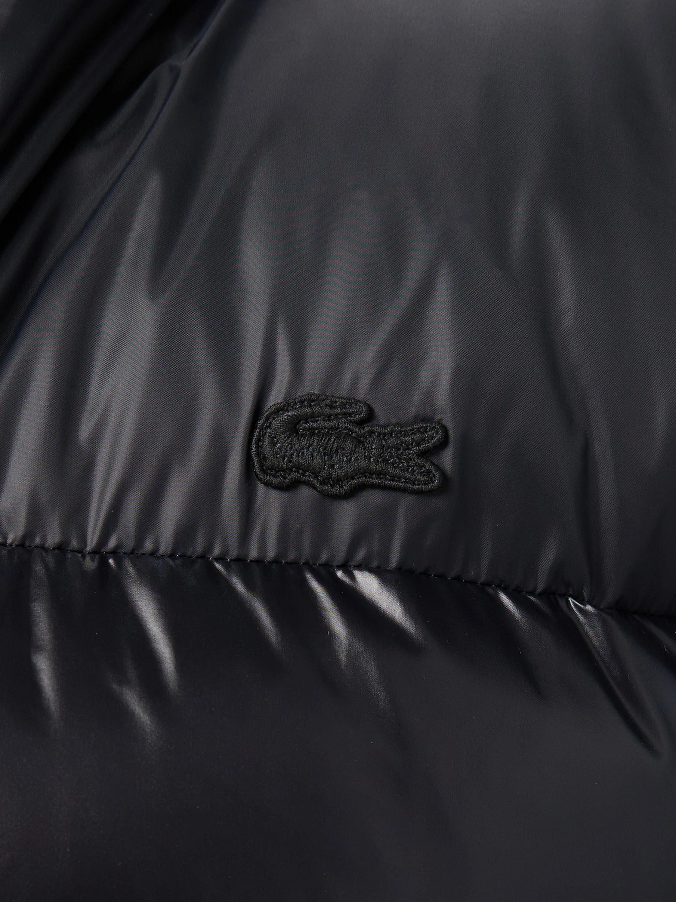 Куртки та дублянки Lacoste модель BH2642031 Фото
