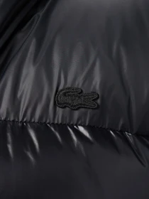 Куртки та дублянки Lacoste модель BH2642031 Фото