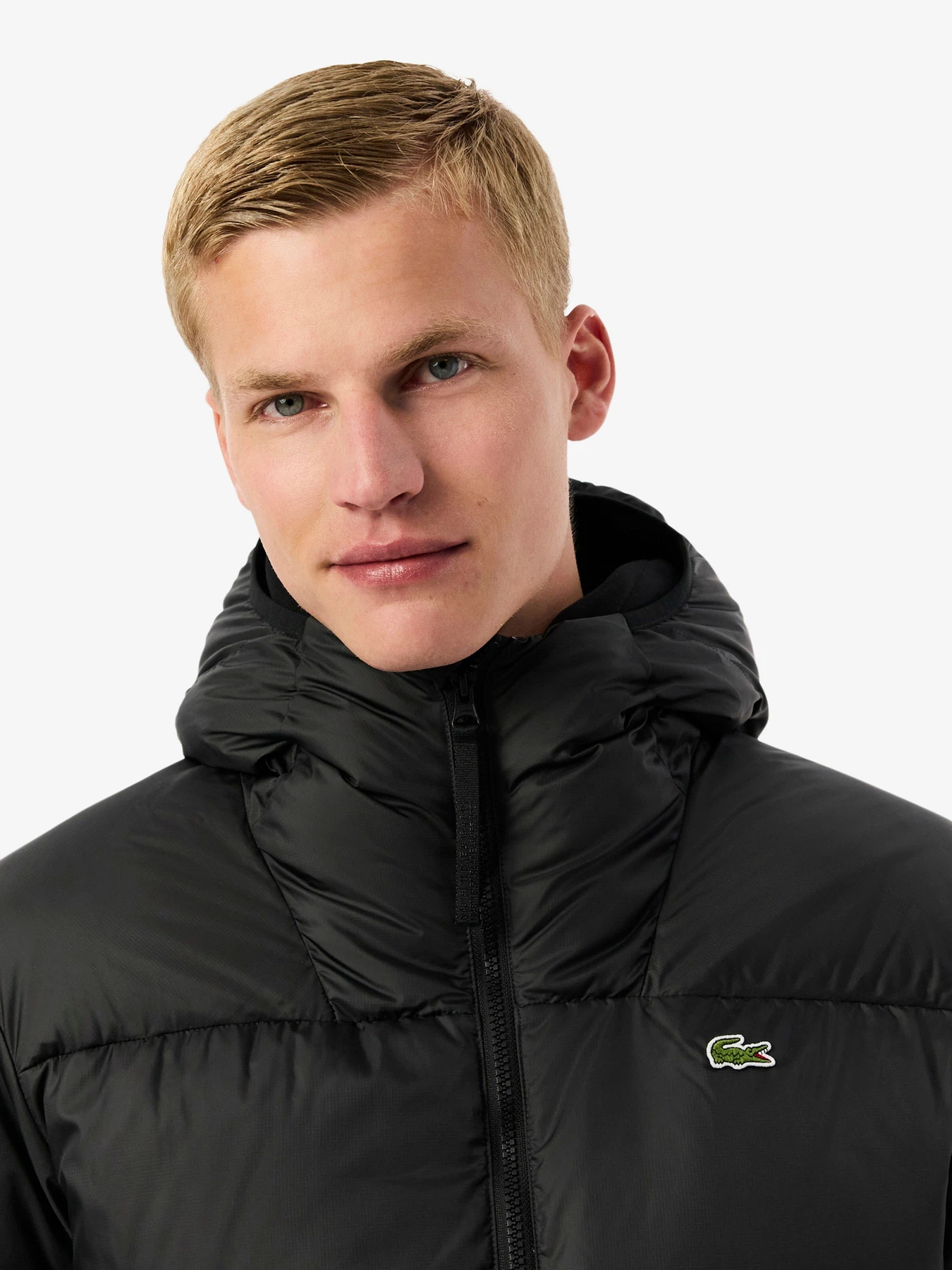 Куртки и дубленки Lacoste модель BH2905031 Фото