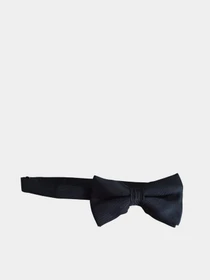 Галстуки и воротнички H&M модель 6700791wer_Черный Фото