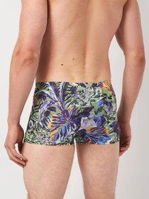 Нижня білизна H&M модель 5643107wer_Зелено-фиолетовый Фото