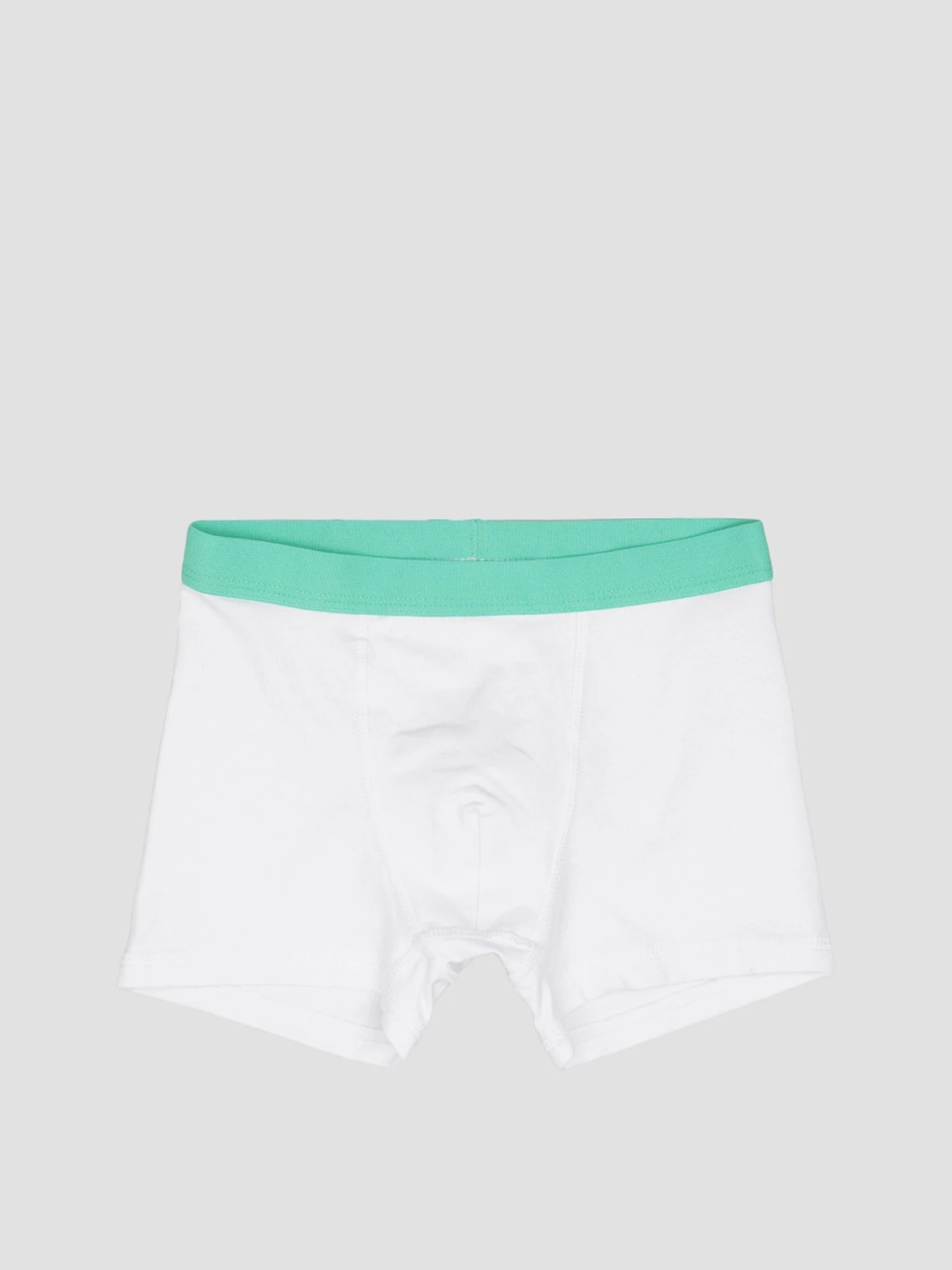 Нижнее белье H&M модель 7859483kwer_Бело-зеленый Фото