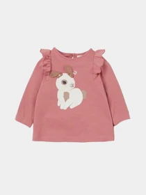 Худи и свитшоты H&M модель 8657902kwer_Розовый Фото