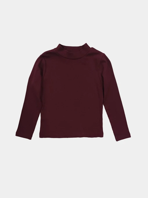 Худі та світшоти H&M модель 3957302kwer_Бордовый Фото