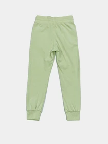 Брюки H&M модель 9145745kwer_Салатовый Фото