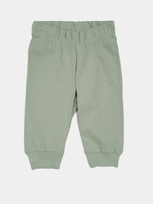 Брюки H&M модель 1106722kwer_Светло-зеленый Фото