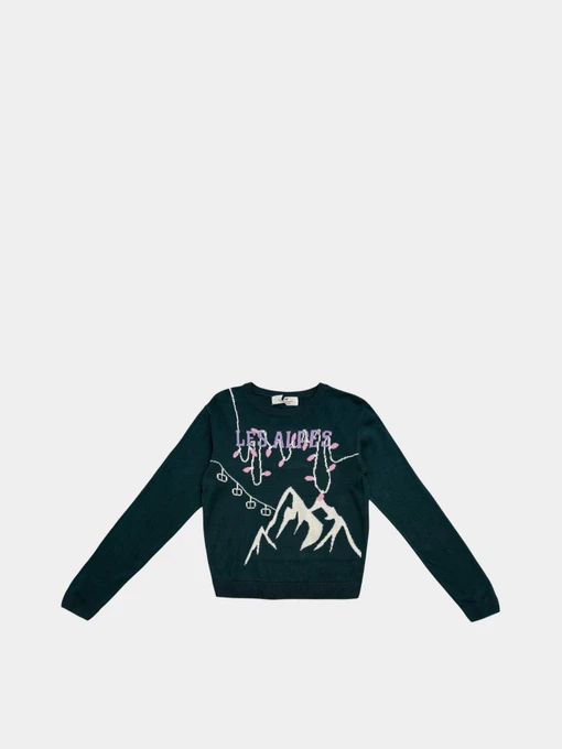 Худи и свитшоты H&M модель 8525821kwer_Темно-зеленый Фото
