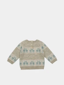 Худи и свитшоты H&M модель 5452533kwer_Бежевый Фото