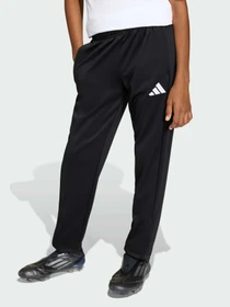 Брюки Adidas модель JZ6550 Фото
